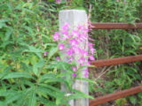 100_1671.jpg